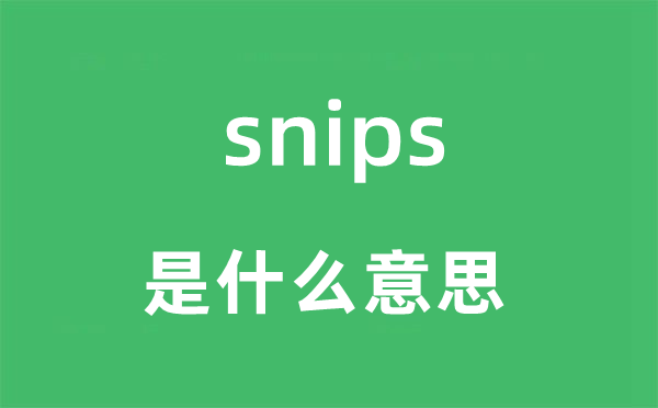 snips是什么意思,snips怎么读,snips中文翻译是什么