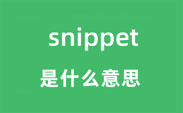 snippet是什么意思,snippet怎么读,snippet中文翻译是什么