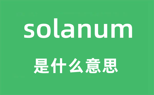 solanum是什么意思,solanum怎么读,中文翻译是什么