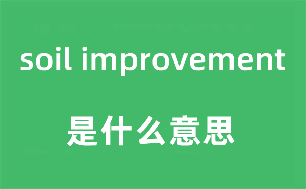 soil improvement是什么意思,中文翻译是什么