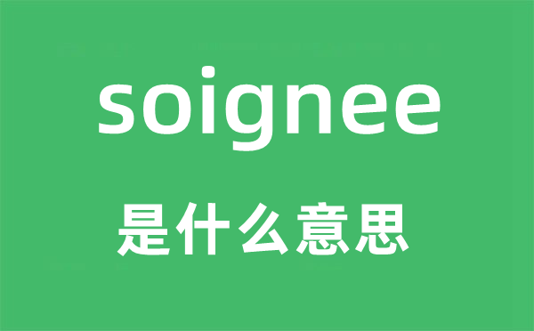 soignee是什么意思,soignee怎么读,中文翻译是什么