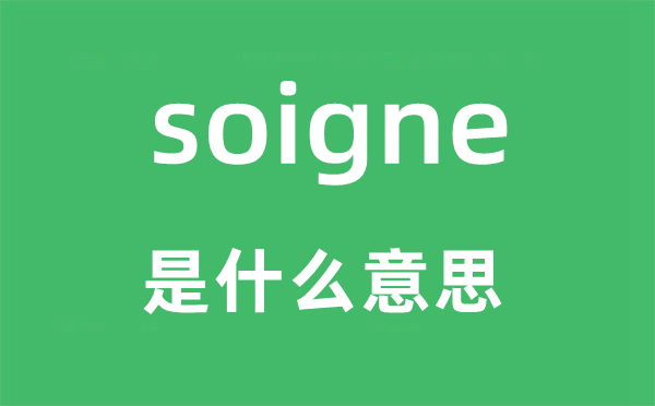 soigne是什么意思,soigne怎么读,中文翻译是什么