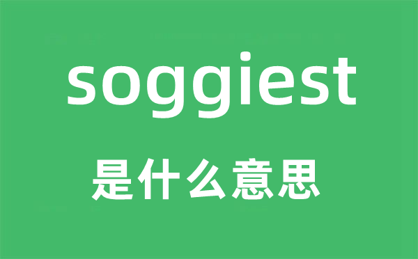 soggiest是什么意思,soggiest怎么读,中文翻译是什么