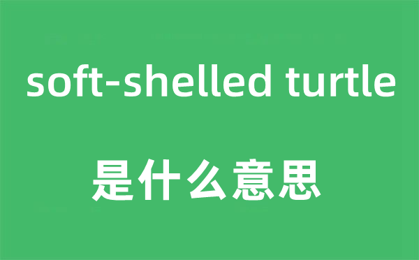 soft-shelled turtle是什么意思,中文翻译是什么