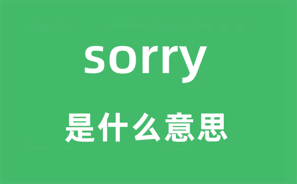 sorry是什么意思,sorry怎么读,中文翻译是什么