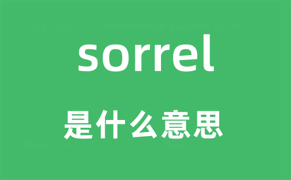 sorrel是什么意思,sorrel怎么读,中文翻译是什么