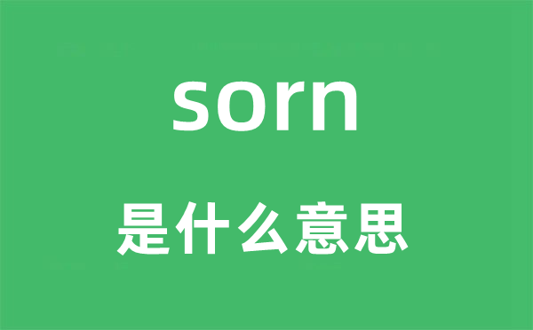 sorn是什么意思,sorn怎么读,中文翻译是什么