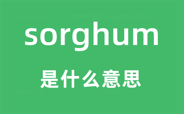 sorghum是什么意思,sorghum怎么读,中文翻译是什么