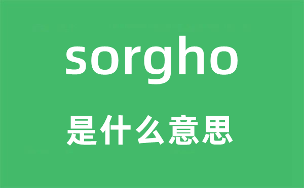 sorgho是什么意思,sorgho怎么读,中文翻译是什么