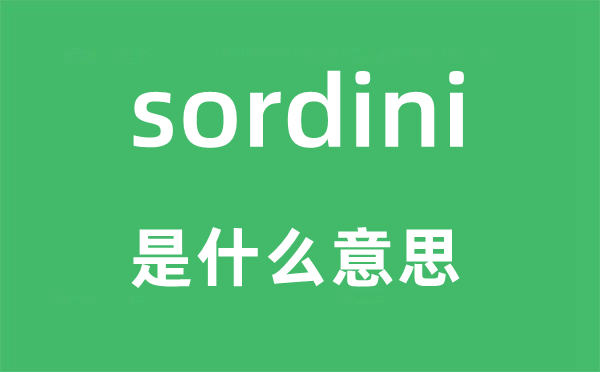 sordini是什么意思,sordini怎么读,中文翻译是什么