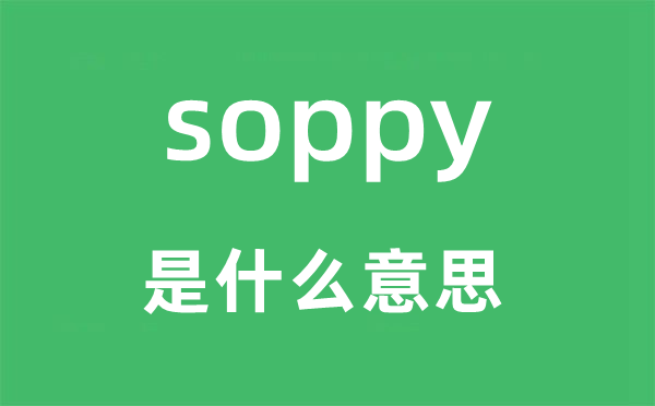 soppy是什么意思,soppy怎么读,中文翻译是什么