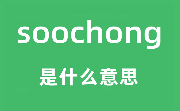 soochong是什么意思,soochong怎么读,中文翻译是什么