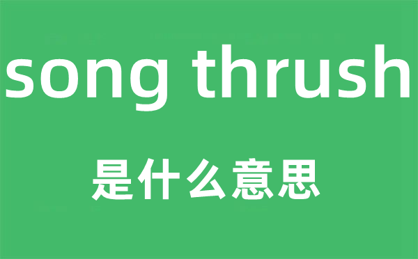 song thrush是什么意思,中文翻译是什么