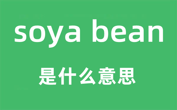 soya bean是什么意思,中文翻译是什么