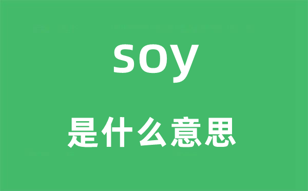 soy是什么意思,soy怎么读,中文翻译是什么