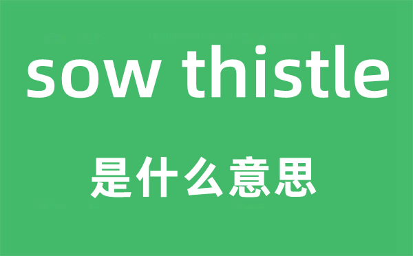 sow thistle是什么意思,中文翻译是什么