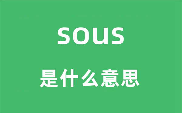 sous是什么意思,sous怎么读,中文翻译是什么