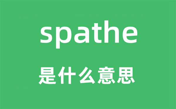 spathe是什么意思,spathe怎么读,中文翻译是什么