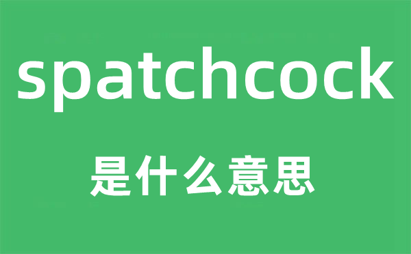 spatchcock是什么意思,spatchcock怎么读,中文翻译是什么