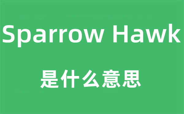 Sparrow Hawk是什么意思,中文翻译是什么