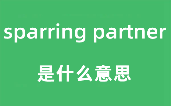 sparring partner是什么意思,中文翻译是什么