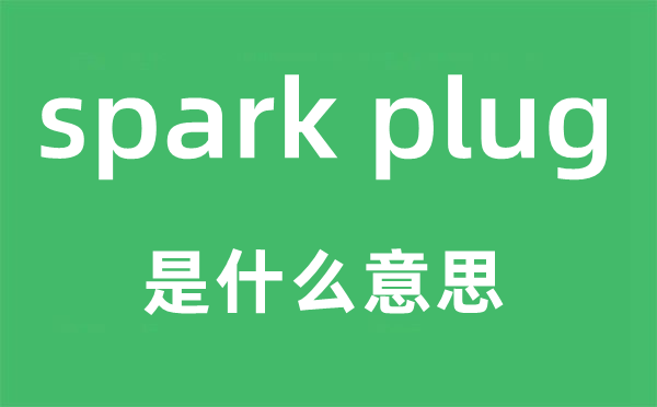 spark plug是什么意思,中文翻译是什么