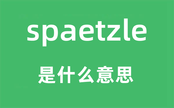 spaetzle是什么意思,spaetzle怎么读,中文翻译是什么