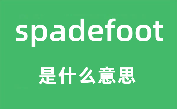 spadefoot是什么意思,spadefoot怎么读,中文翻译是什么