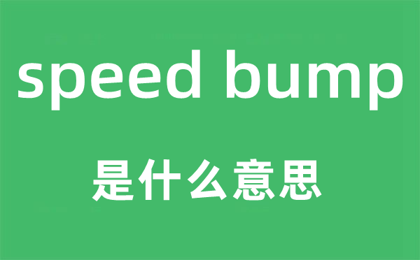 speed bump是什么意思,中文翻译是什么