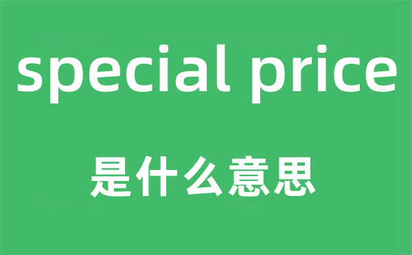 special price是什么意思,中文翻译是什么