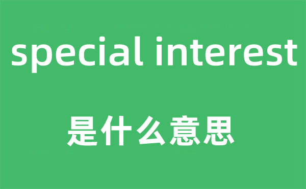 special interest是什么意思,中文翻译是什么