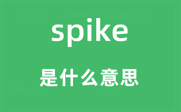 spike是什么意思,spike怎么读,中文翻译是什么