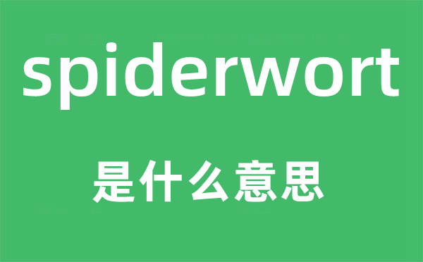 spiderwort是什么意思,spiderwort怎么读,中文翻译是什么