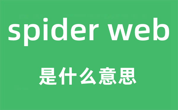 spider web是什么意思,中文翻译是什么