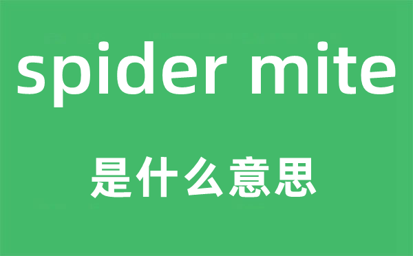 spider mite是什么意思,中文翻译是什么