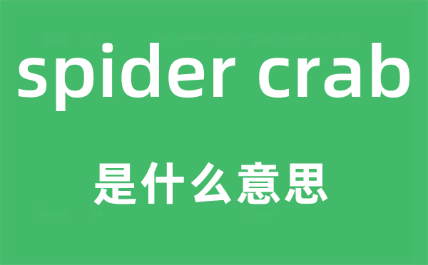 spider crab是什么意思,中文翻译是什么