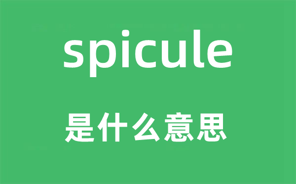 spicule是什么意思,spicule怎么读,中文翻译是什么