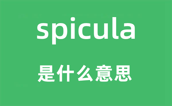 spicula是什么意思,spicula怎么读,中文翻译是什么