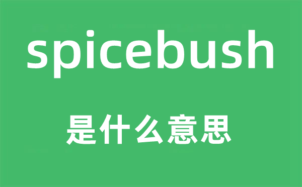 spicebush是什么意思,spicebush怎么读,中文翻译是什么