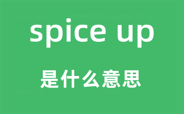 spice up是什么意思,中文翻译是什么