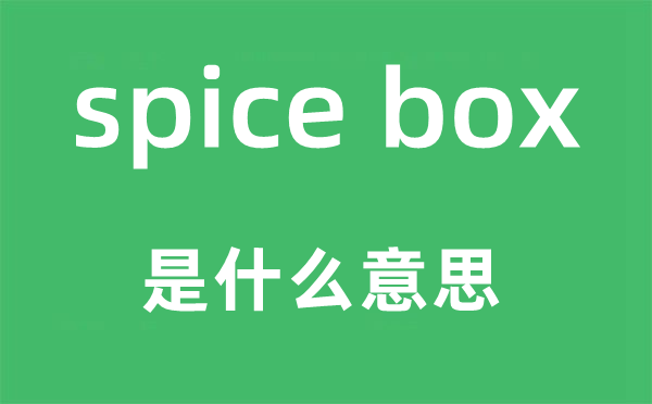 spice box是什么意思,中文翻译是什么