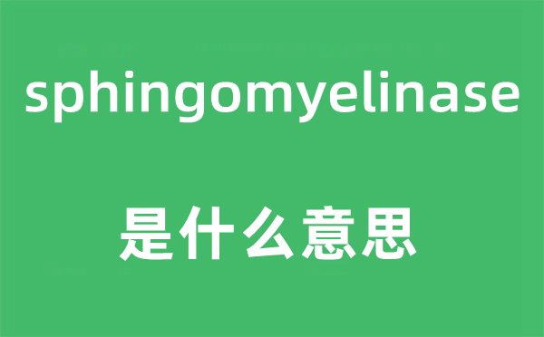 sphingomyelinase是什么意思,sphingomyelinase怎么读,中文翻译是什么