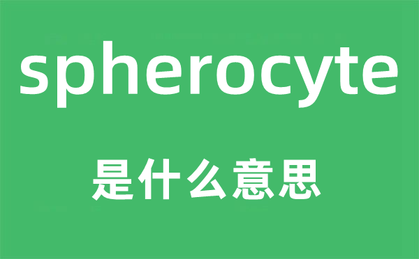 spherocyte是什么意思,spherocyte怎么读,中文翻译是什么