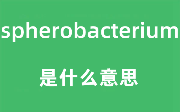 spherobacterium是什么意思,spherobacterium怎么读,中文翻译是什么