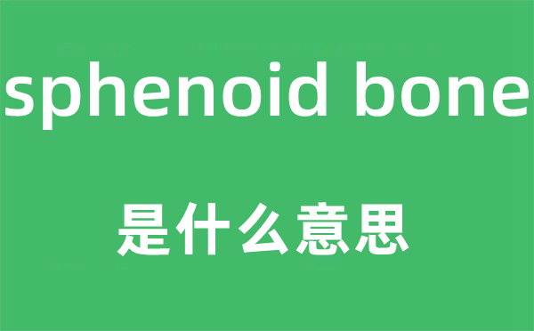 sphenoid bone是什么意思,中文翻译是什么