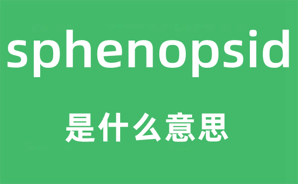 sphenopsid是什么意思,sphenopsid怎么读,中文翻译是什么