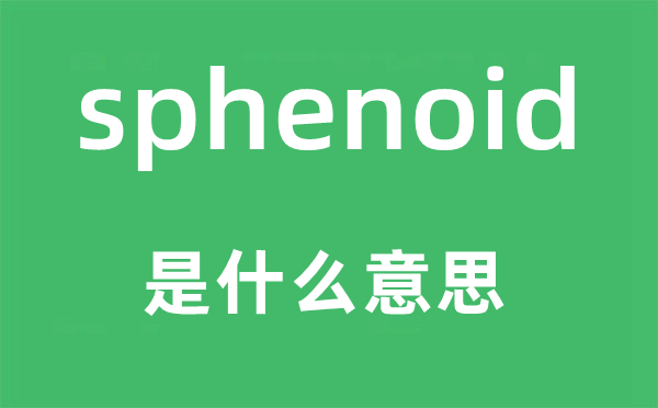 sphenoid是什么意思,sphenoid怎么读,中文翻译是什么