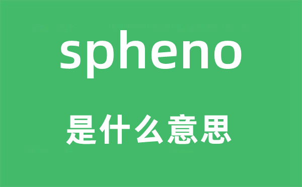 spheno是什么意思,spheno怎么读,中文翻译是什么