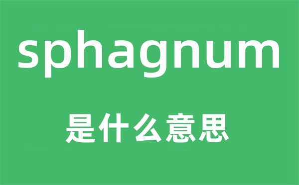 sphagnum是什么意思,sphagnum怎么读,中文翻译是什么