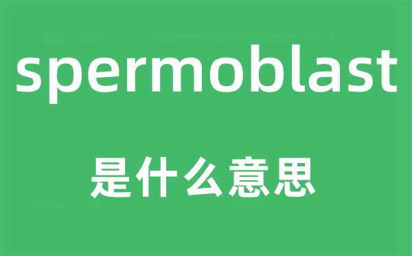 spermoblast是什么意思,spermoblast怎么读,中文翻译是什么